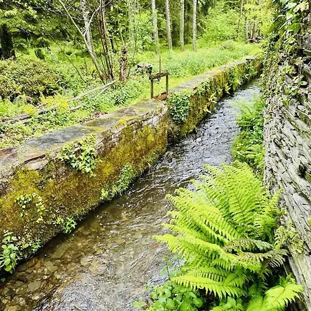Le Moulin De Cameliere Caudebronde