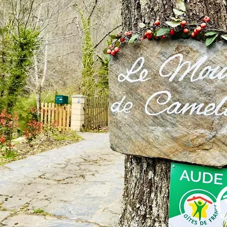 Le Moulin De Cameliere