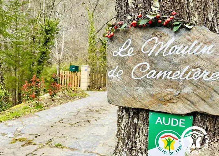 Le Moulin De Cameliere