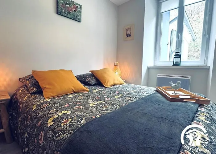 Le Moulin De Cameliere Caudebronde