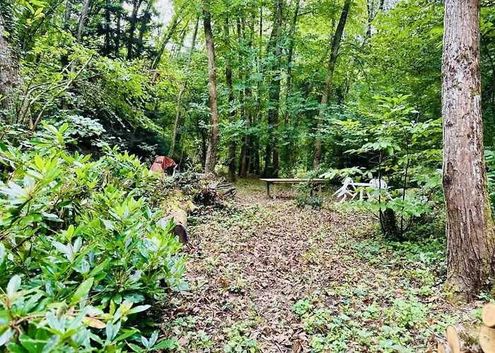 Le Moulin De Cameliere Σπίτι διακοπών